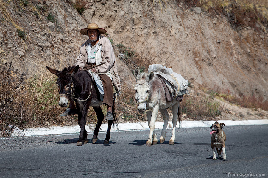 Mexico 2012 photo