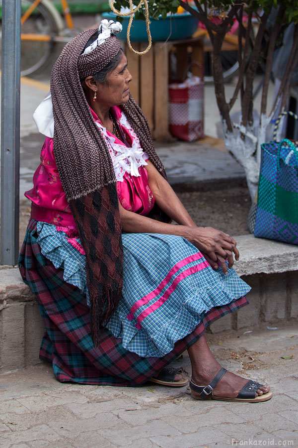 Mexico 2012 Oaxaca photo