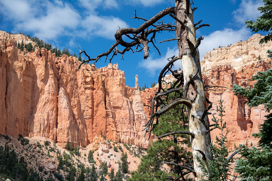 Bryce Canyon National Park 2014 photo
