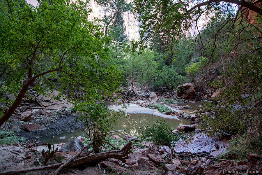 Zion National Park 2014 photo