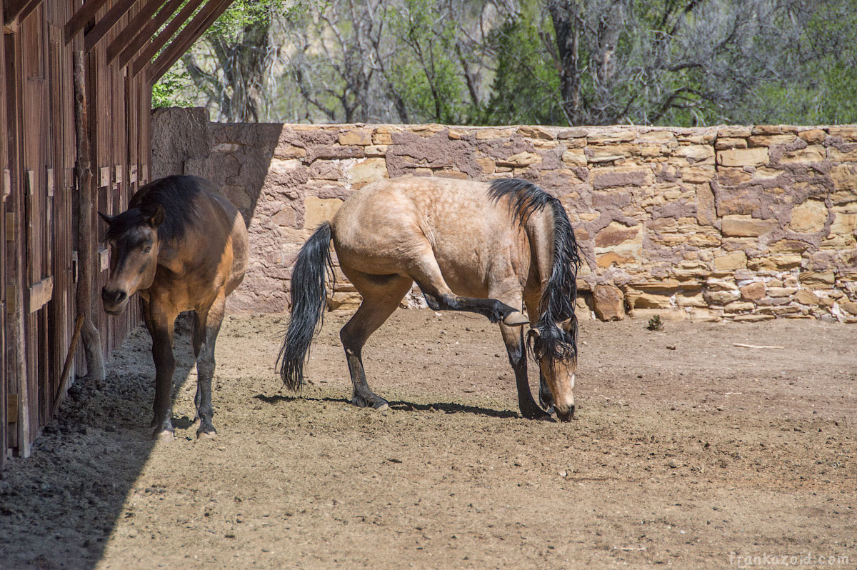 Fort Stanton and Capitan, NM, 2015 photo