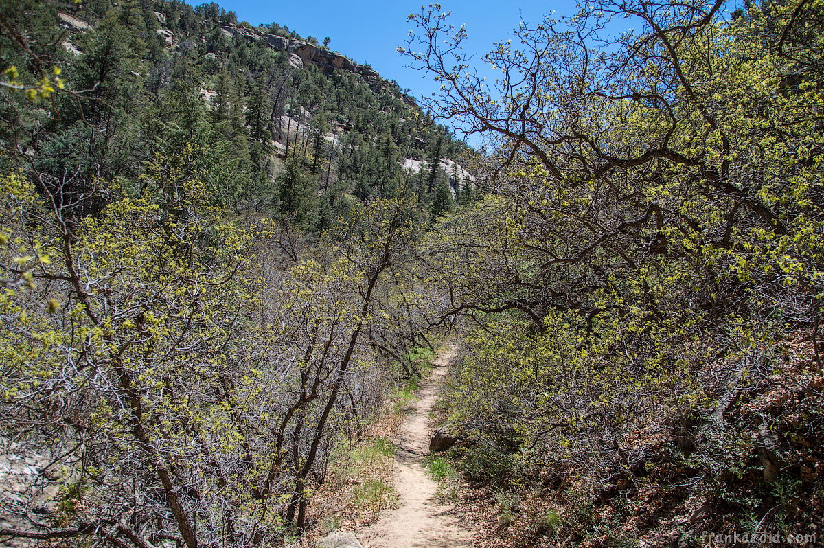 Mesa Verde, CO, 2015, photo