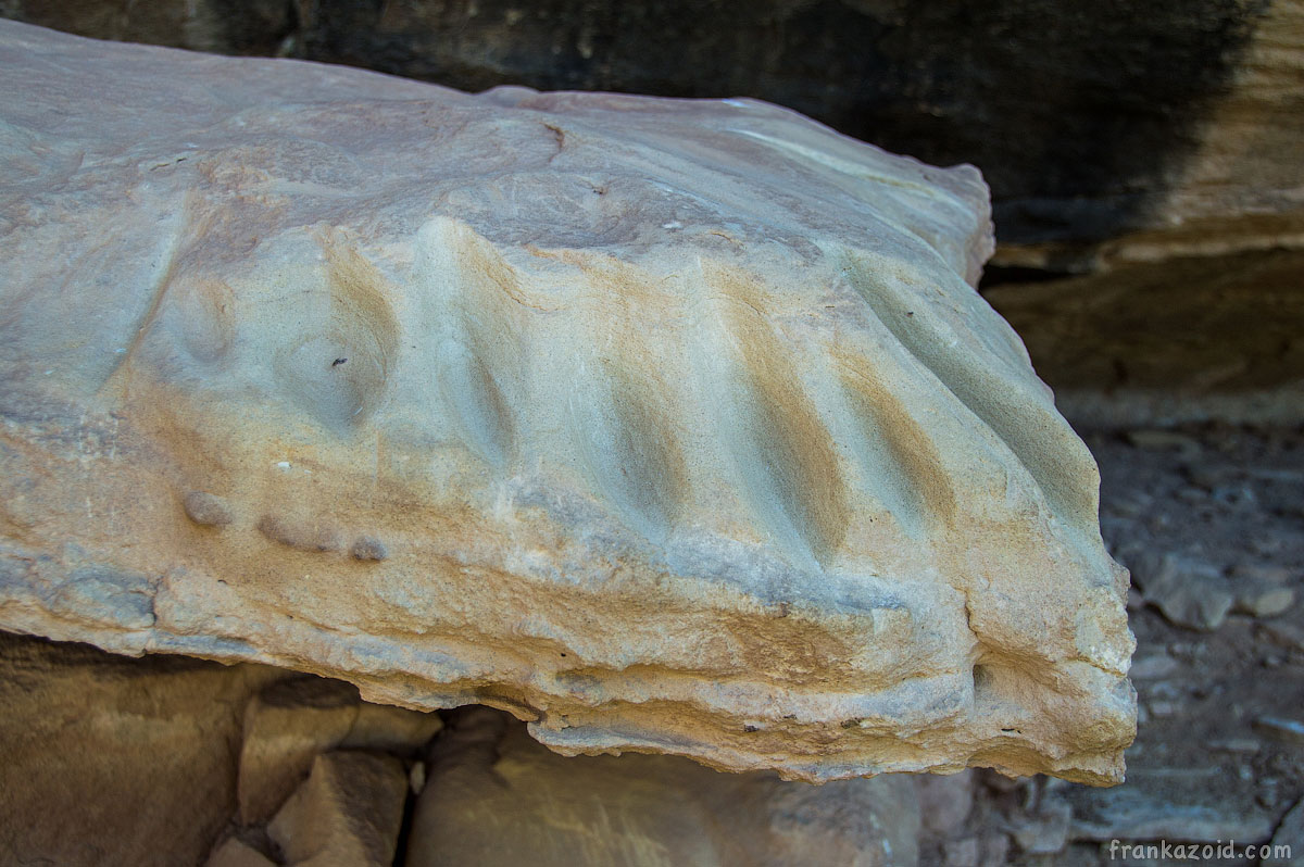 Mesa Verde, CO, 2015, photo