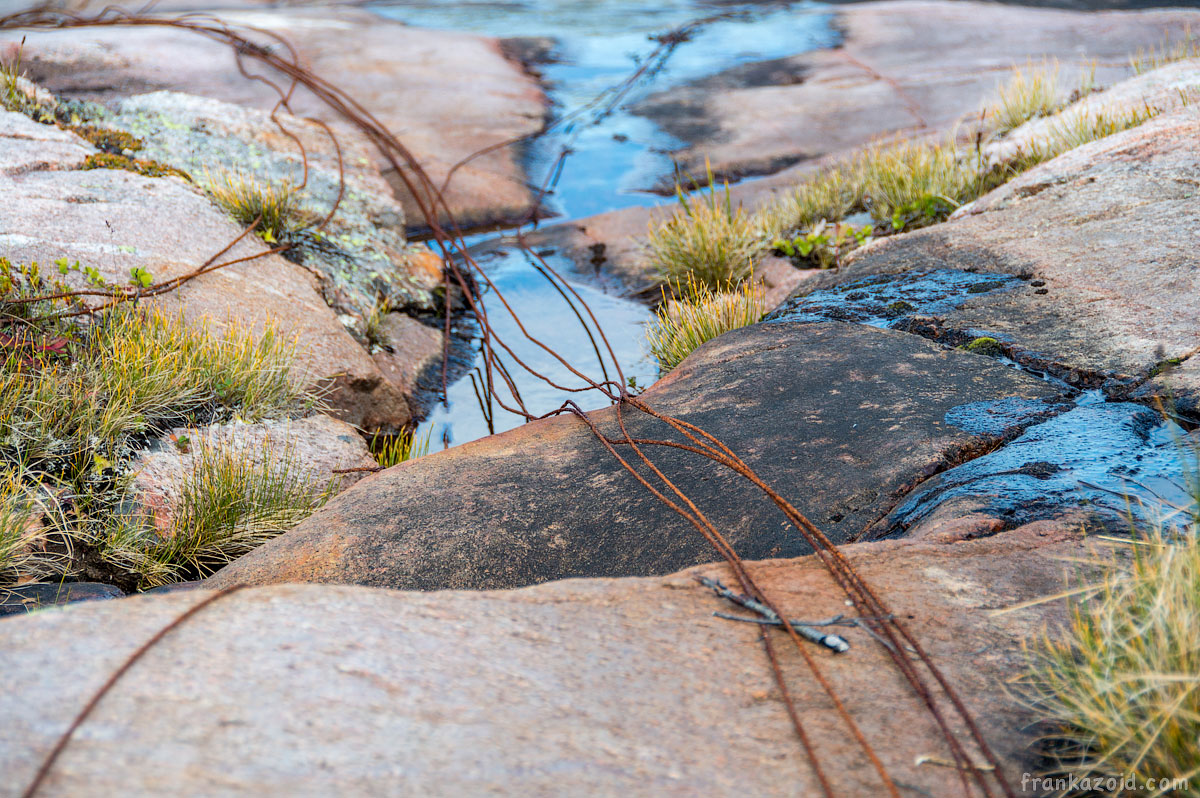 Russia, north, Murmansk 2015 photo