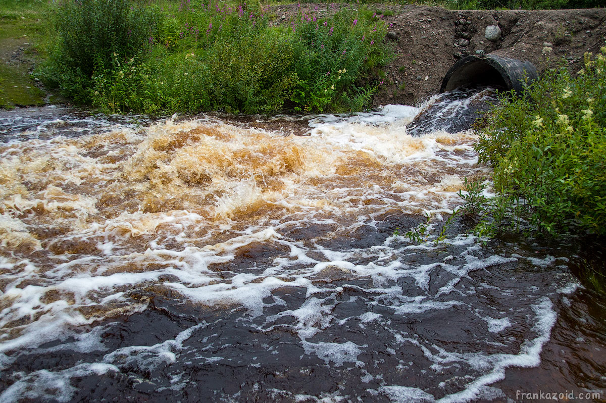 Russia, north, Murmansk 2015 photo