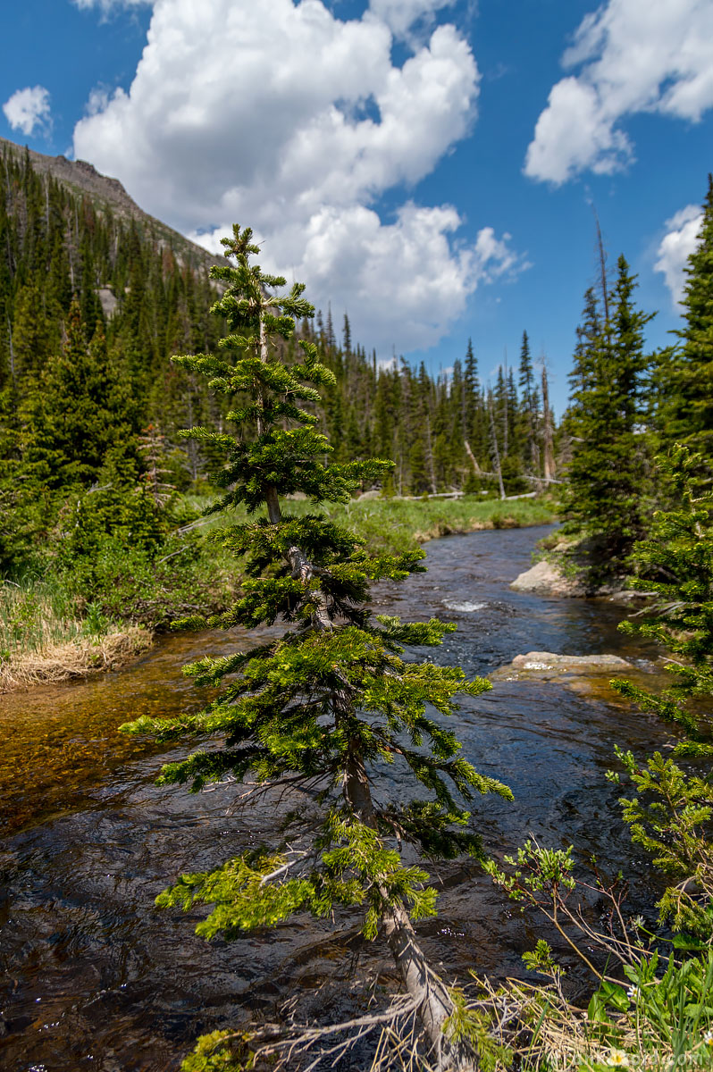 Big Alaska trip: part 6, Arizona, 2017 photo: mountain river