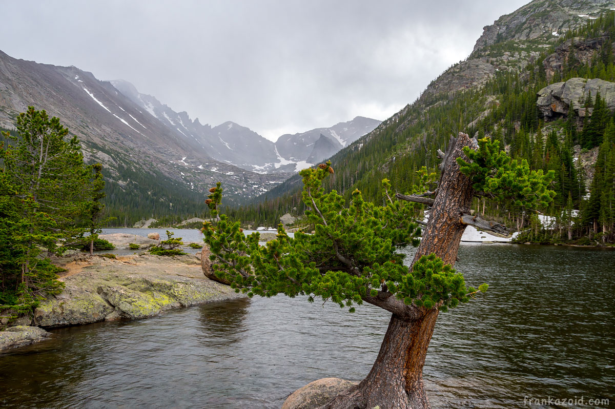 Big Alaska trip: part 6, Arizona, 2017 photo: rain over the broken tree