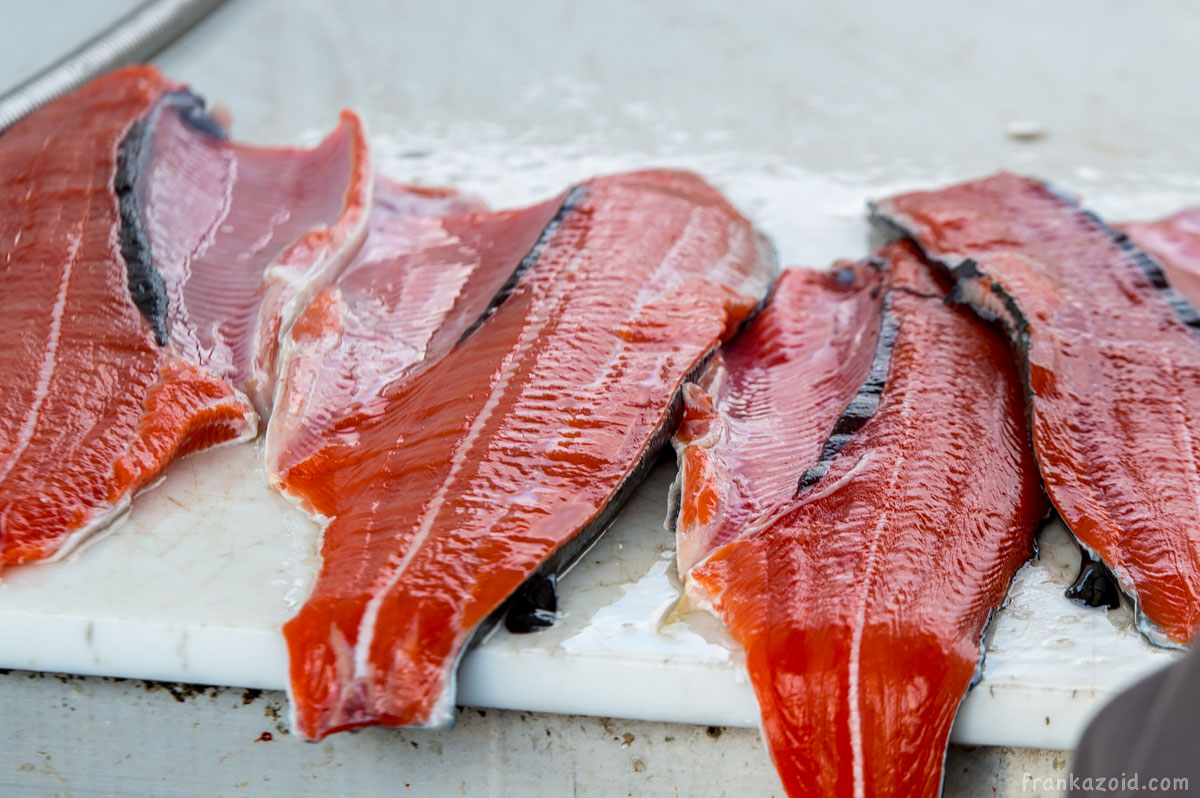 Seward Alaska salmon fish