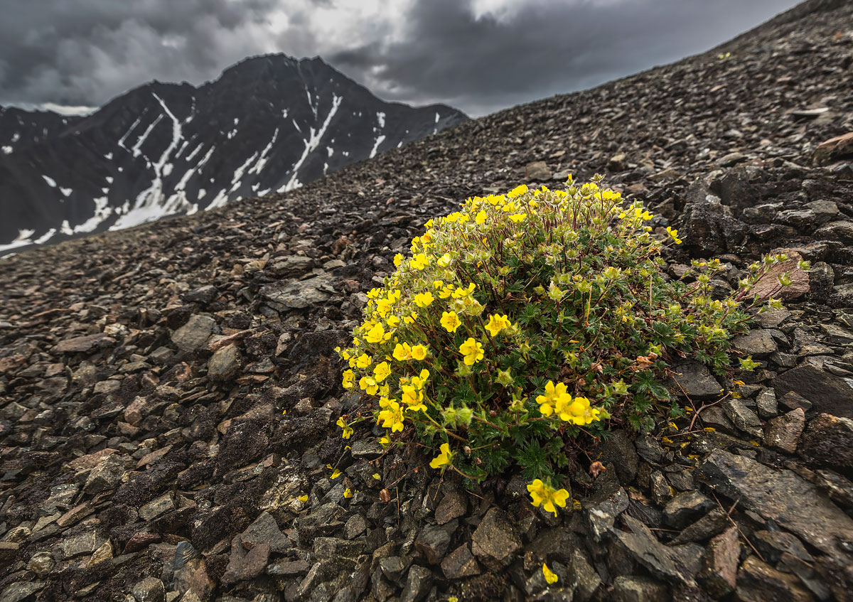 Big Alaska trip, part 10: Yukon territories, Canada 2017 photo