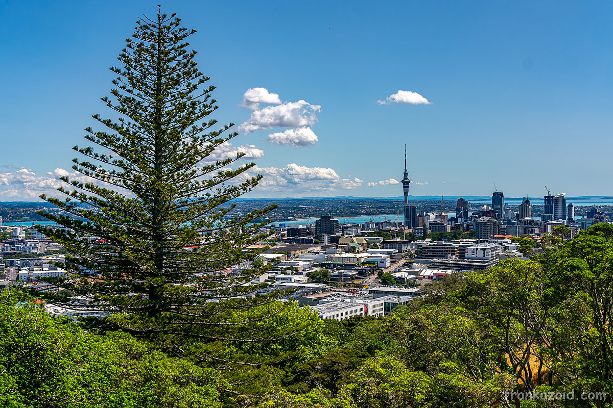 Trip to New Zealand, Auckland, Kauri tree and Hobbiton Movie Set, year 2020