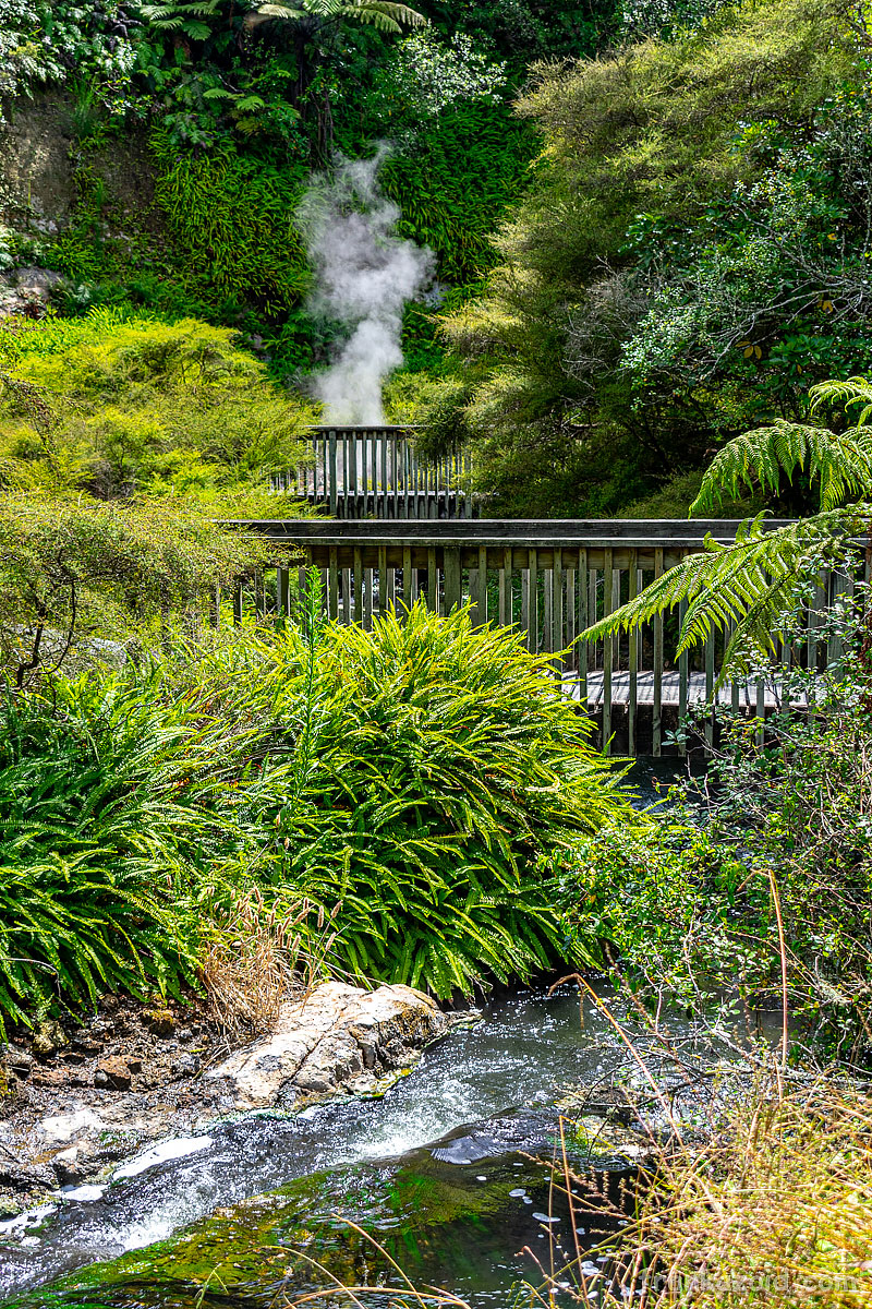 Trip to New Zealand, Rotorua, volcanic valley, crater lakes, Wai-o-tapu, geothermal, wonderland, Waimangu, year 2020