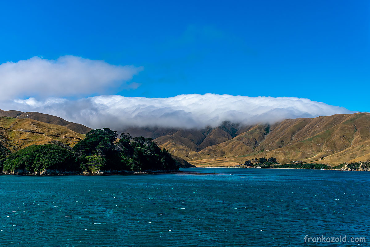 Trip to New Zealand, Wellington, Interislander ferry, Kaikoura, whales, Maruia Falls, year 2020