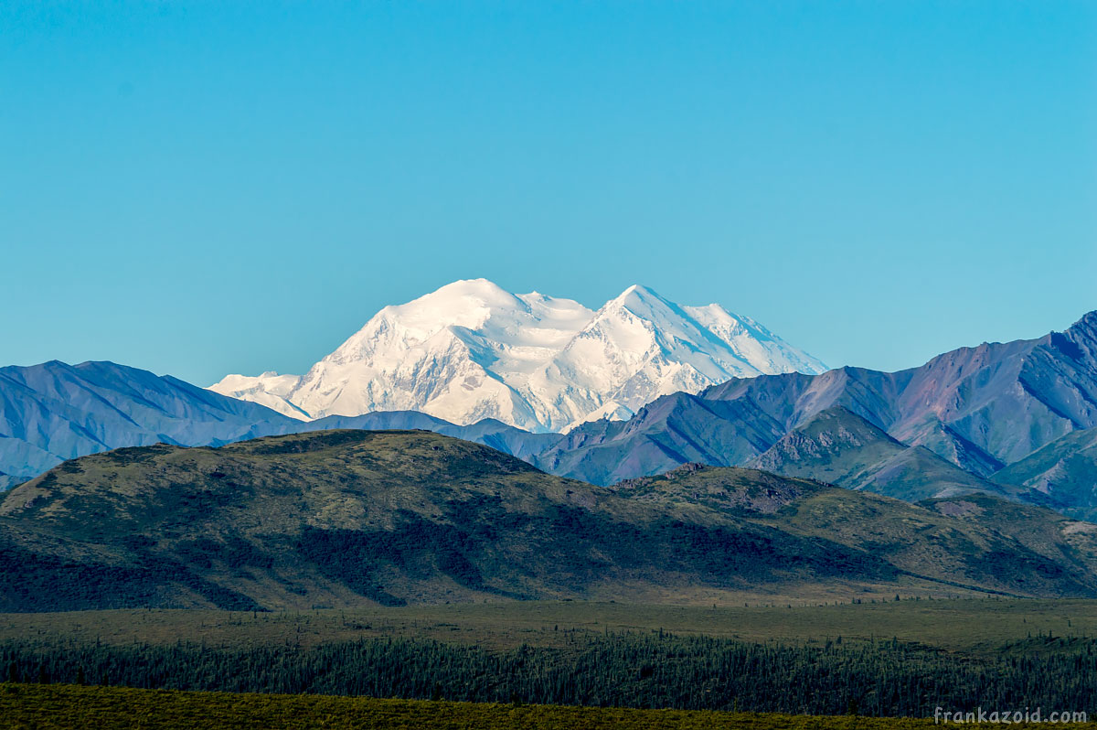 Denali National park, Alaska, USA 2017 photo