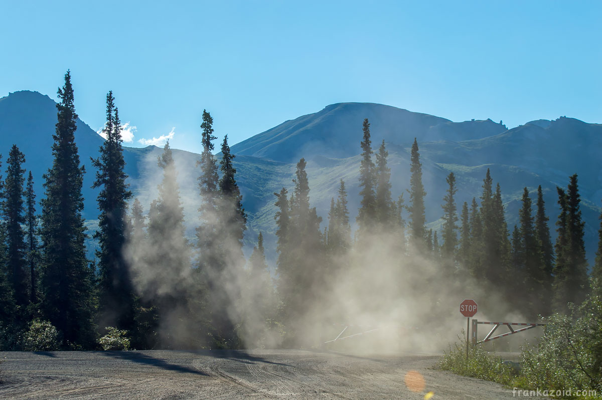 Denali National park, Alaska, USA 2017 photo