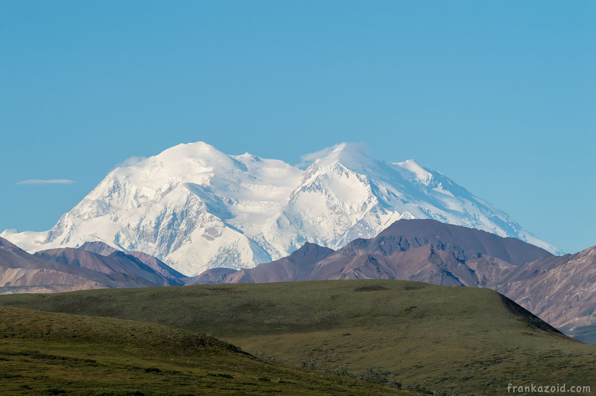 Denali National park, Alaska, USA 2017 photo