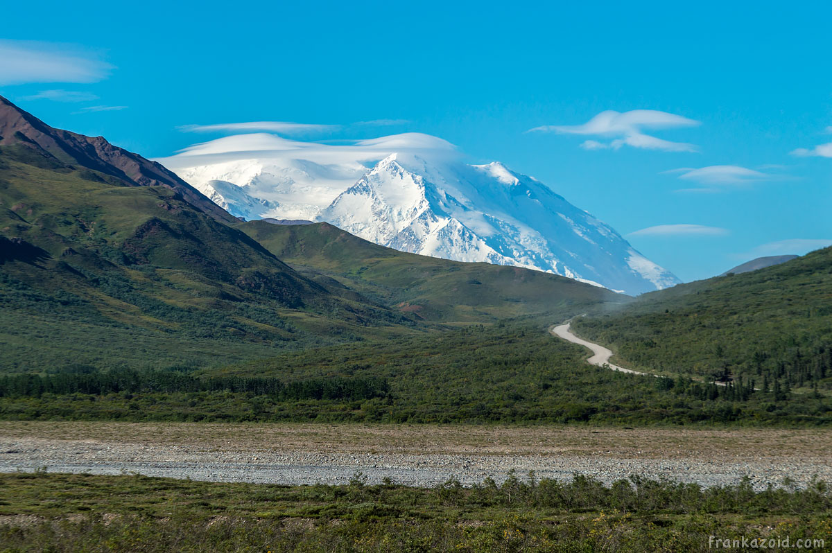 Denali National park, Alaska, USA 2017 photo