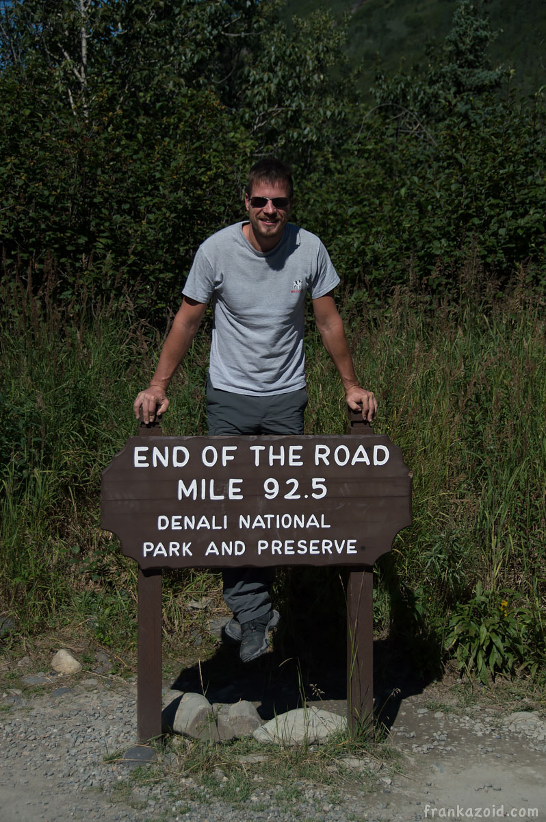 Denali National park, Alaska, USA 2017 photo