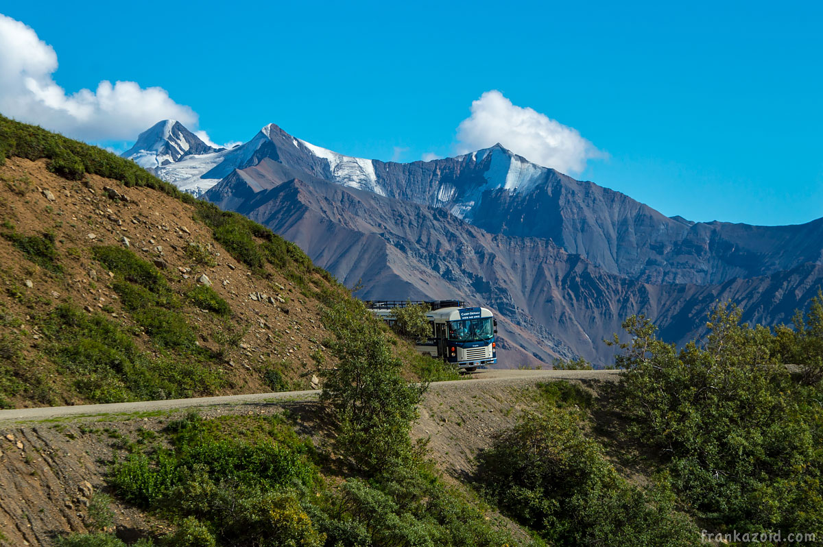 Denali National park, Alaska, USA 2017 photo